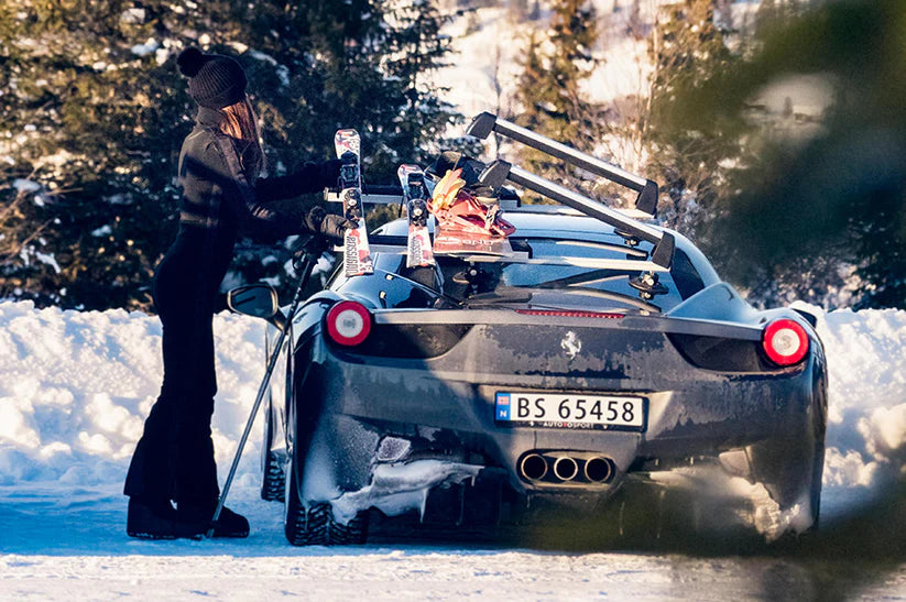 Skid & snowboardställ